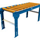 24"W x 5'L Gravity Conveyor with Covers and Legs