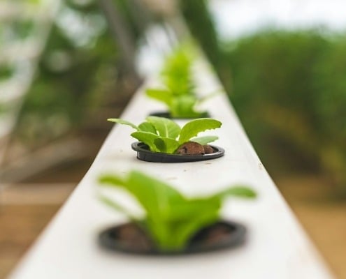 Vertical farming conveyor systems