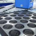 Itoh Denki Multi Angle Ball Sorter in Conveyor