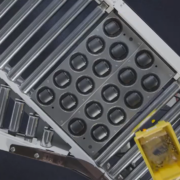 multi angle ball sorter sortation module