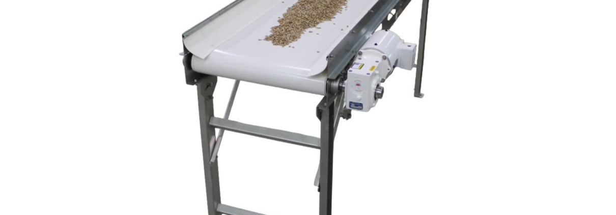 Stainless steel food-grade conveyor with white sanitary belt transporting sunflower seeds.