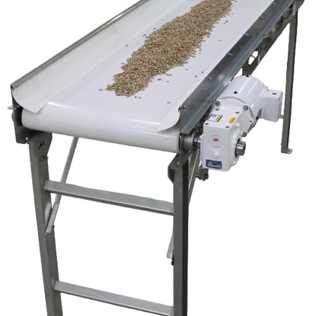 Stainless steel food-grade conveyor with white sanitary belt transporting sunflower seeds.