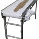 Stainless steel food-grade conveyor with white sanitary belt transporting sunflower seeds.
