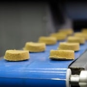 food on food-grade belt conveyor