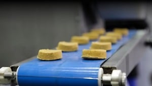 food on food-grade belt conveyor