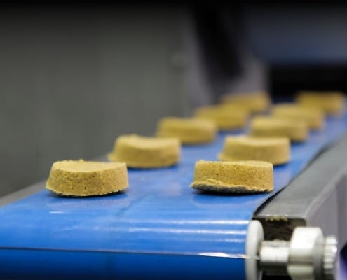 food on food-grade belt conveyor